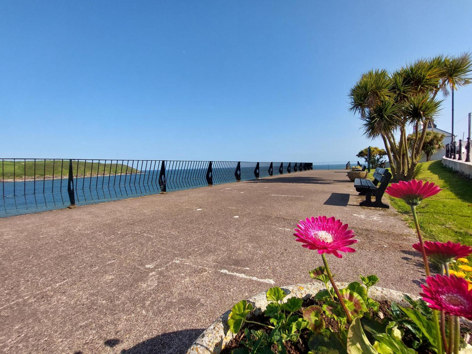 Sea Whispers - My Charming Costal Retreat In Youghal Bagian luar foto