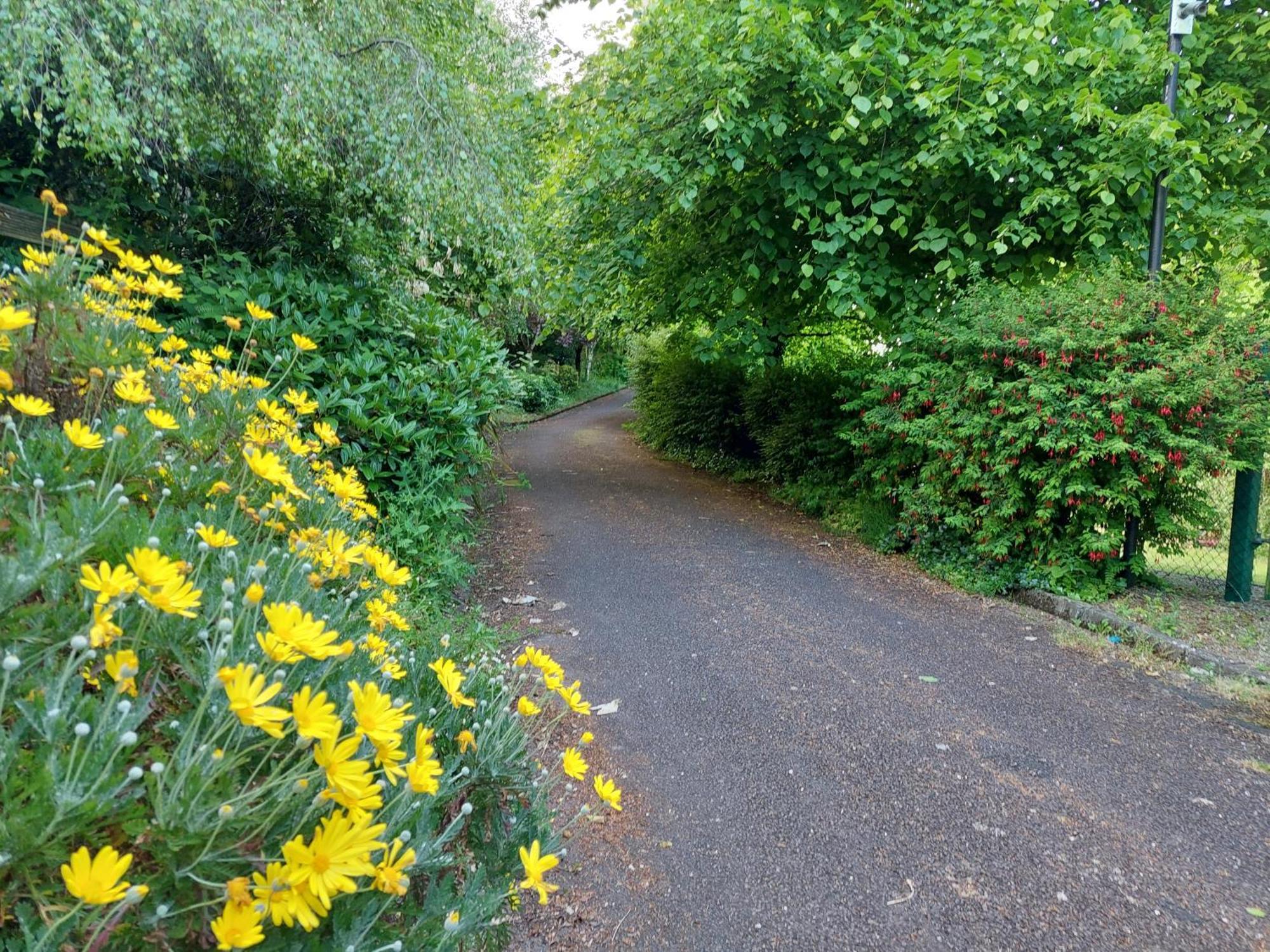 Sea Whispers - My Charming Costal Retreat In Youghal Bagian luar foto